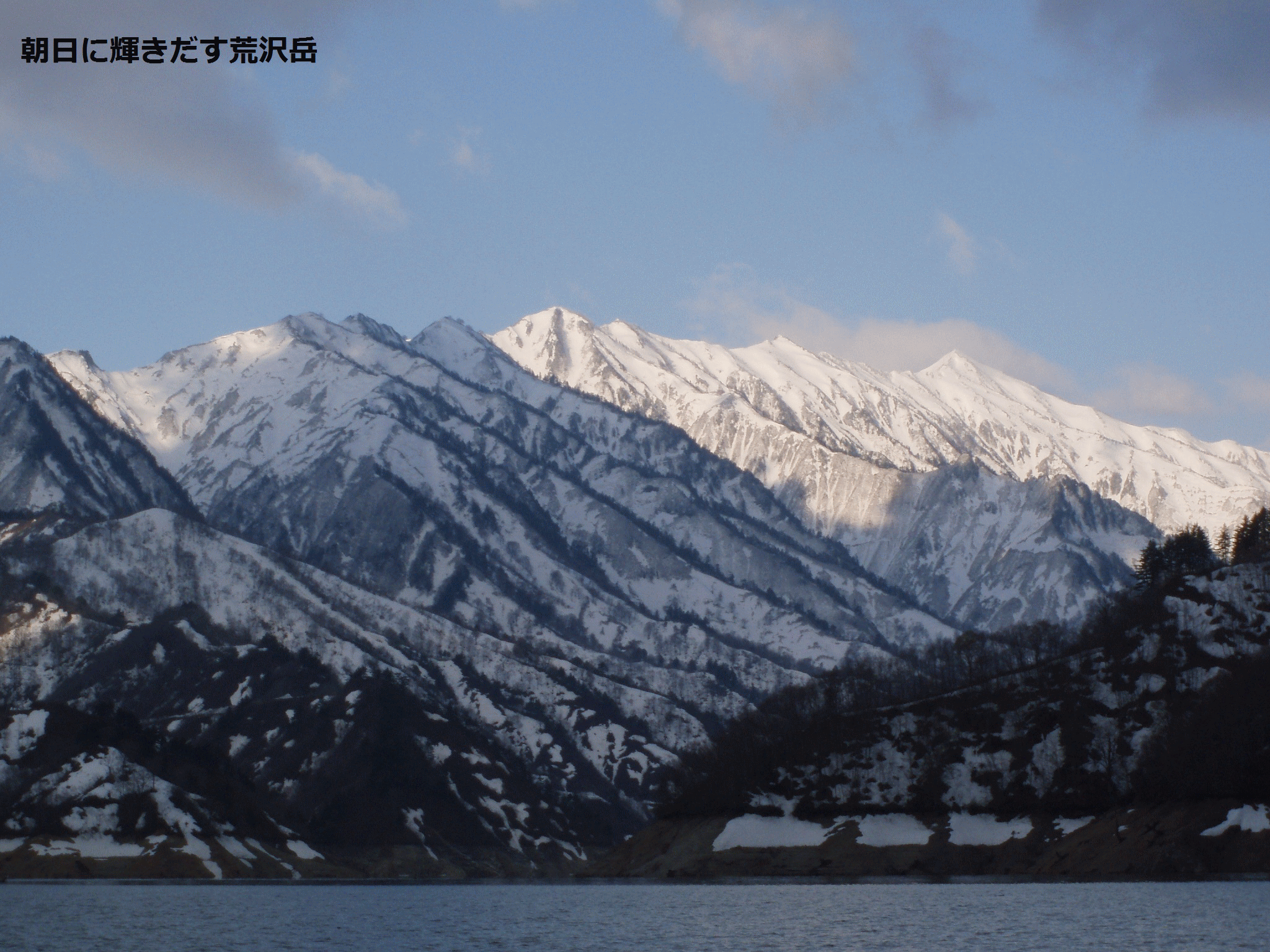 田子倉湖、銀山湖の岩魚とサクラマス