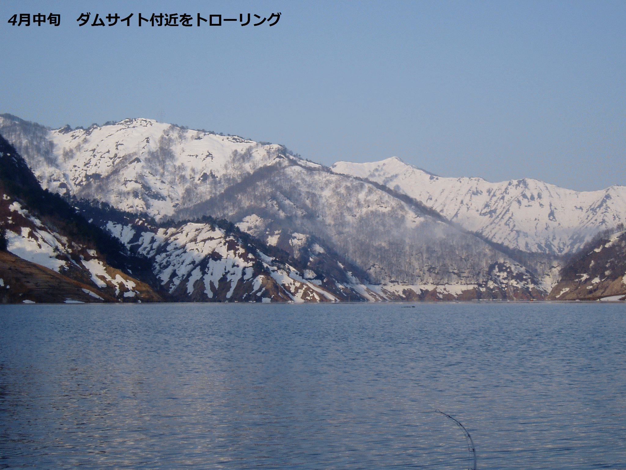 田子倉湖、銀山湖の岩魚とサクラマス
