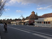 ウエストハイランドホワイトテリア　じゃぱり館山　ドギーズアイランド