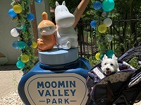 ウエストハイランドホワイトテリア　メッツァビレッジ