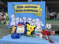 ウエストハイランドホワイトテリア　お出掛け　ウエスティパーティー