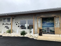 ウエストハイランドホワイトテリア　お出掛け　藤岡　ダイニングキッチンN＆H