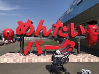 ウエストハイランドホワイトテリア　ウエスティ　めんたいパーク