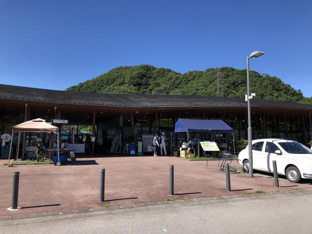 ウエストハイランドホワイトテリア はなちゃん 軽井沢 発地市場