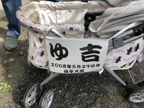 EGXgnChzCgeA@EGXeBp[eB[