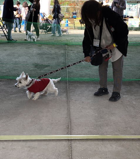 EGXgnChzCgeA@EGXeBp[eB[