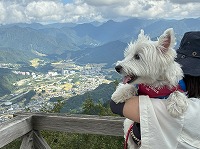 EGXgnChzCgeA@EGXeB@򍂌[vEF[