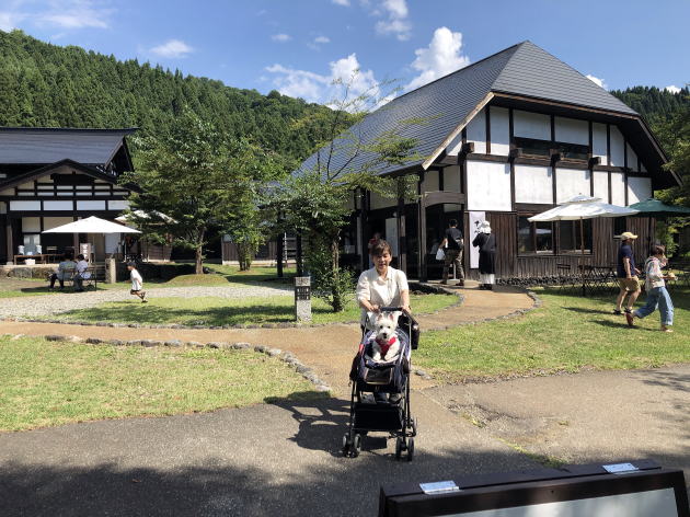 ウエスティはなちゃん 魚沼の里