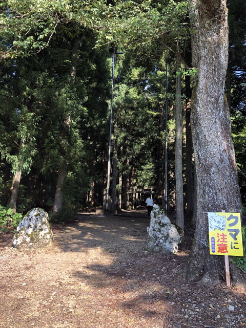 ウエスティはなちゃん 雷電様の水