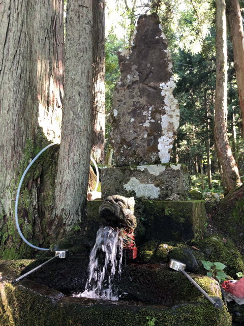 ウエスティはなちゃん 雷電様の水