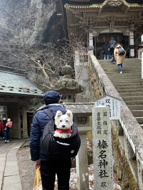 2023年1月15日 パワースポット 榛名神社 ウエストハイランドホワイトテリア