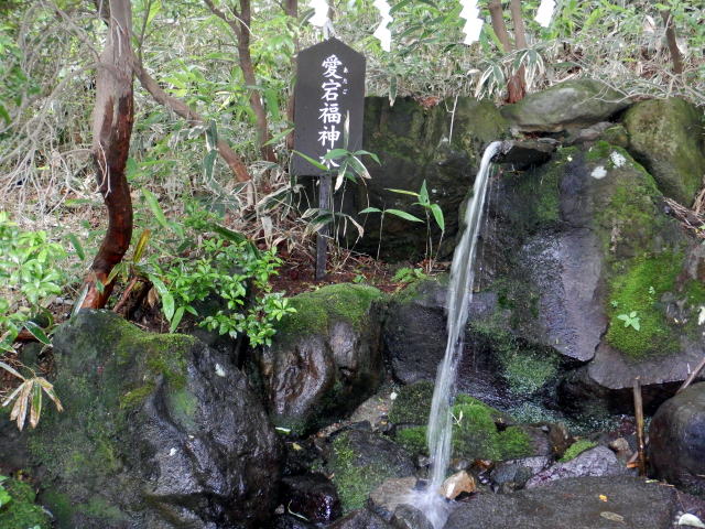 ウエスティ はな 那須温泉神社 つつじ吊り橋