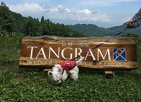 ウエストハイランドホワイトテリア　タングラム斑尾