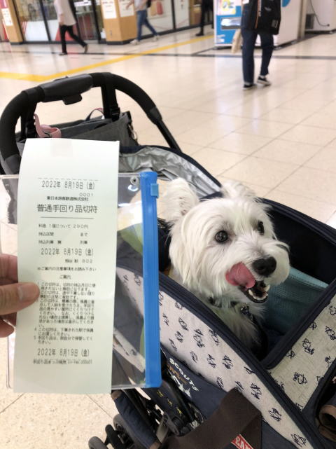 2022年８月19日　ペットと新幹線　熊谷駅