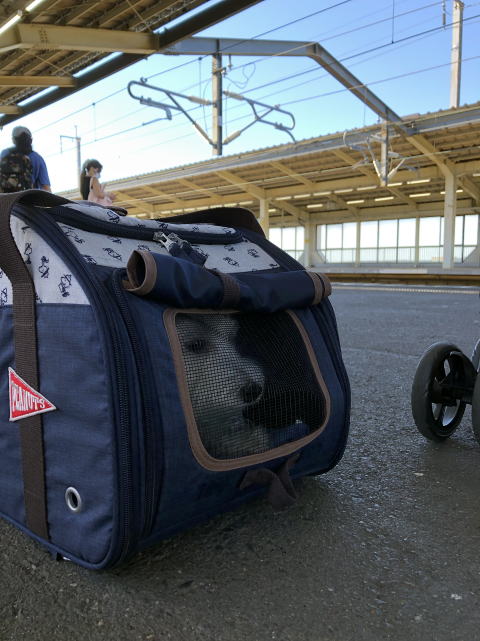 2022年８月19日　ペットと新幹線　熊谷駅
