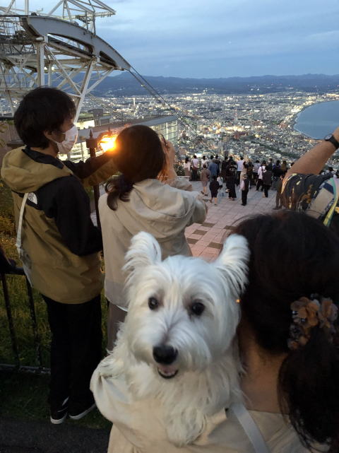 2022年８月19日　ペットと新幹線　函館山