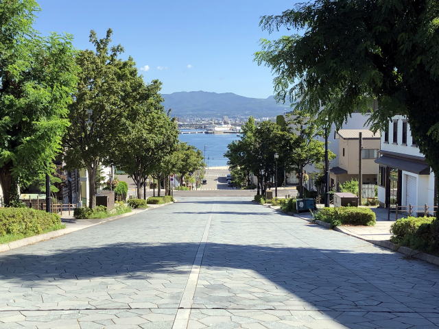 2022年８月２２日ペットと新幹線　函館八幡坂