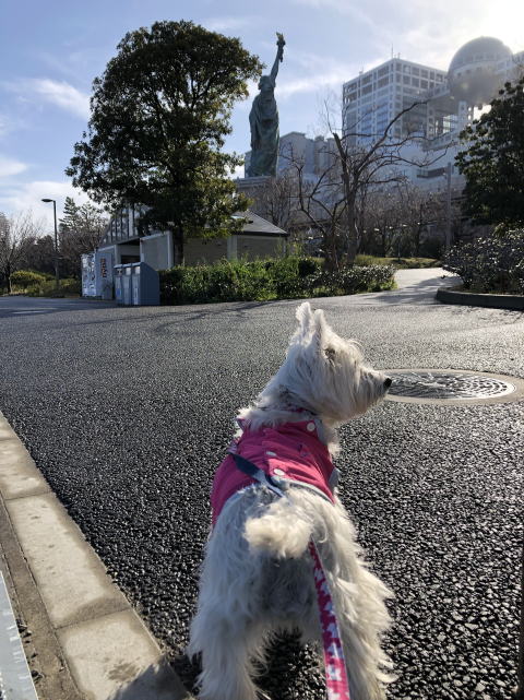 ペット　お台場　ヒルトン　HILTONお台場
