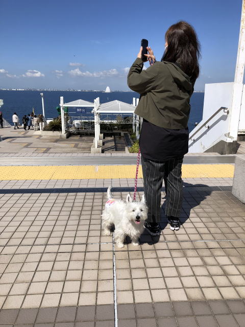 ペット　海ほたる