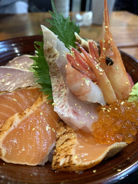 ウエスティはなちゃん 近江町市場