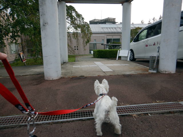 ペット　秋保温泉　ニュー水戸屋アネックス