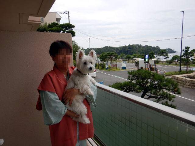 ペット　松島センチュリーホテル