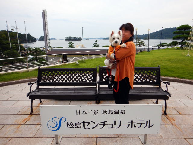 ペット　松島センチュリーホテル