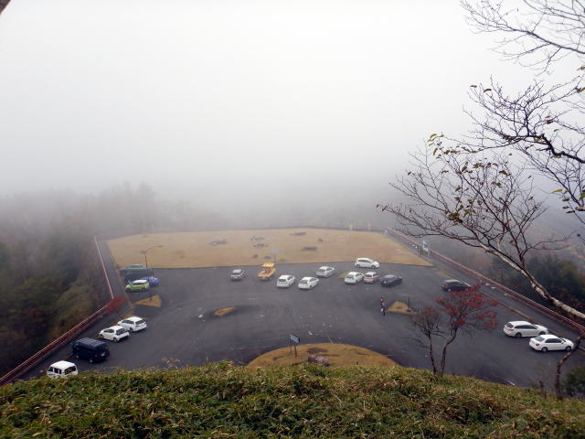 ウエストハイランドホワイトテリア　中禅寺湖半月峠